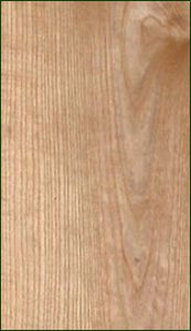 Sassafras Lumber